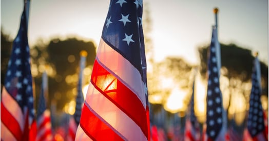 Harmonia Article Pic